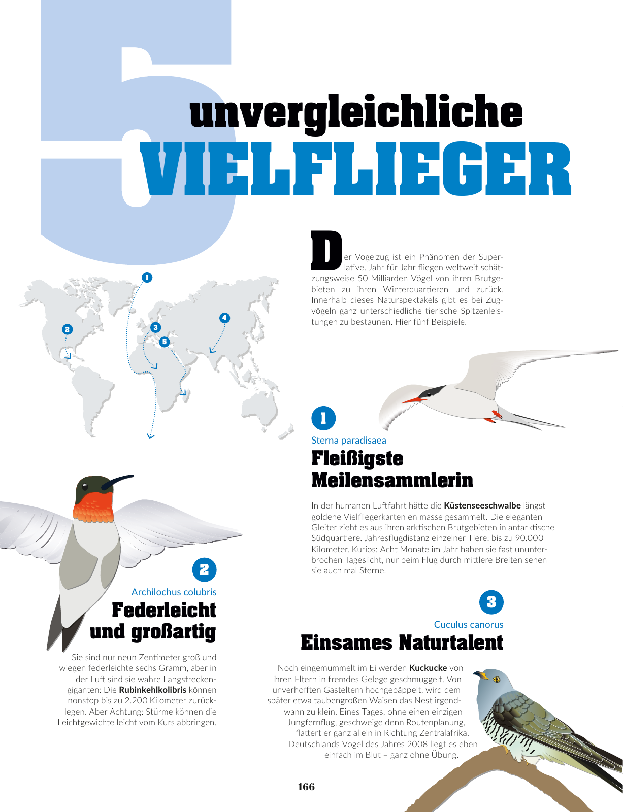 Vorschau uptrend 03/2018 Seite 168