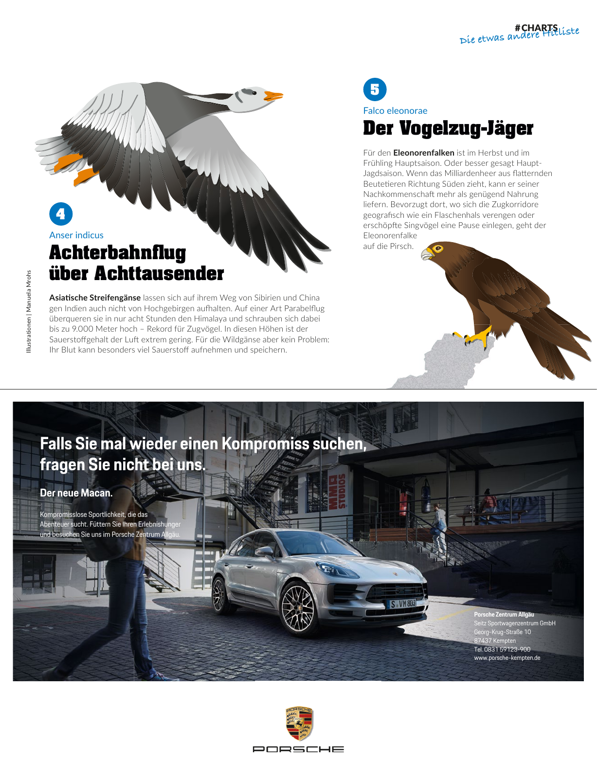 Vorschau uptrend 03/2018 Seite 169