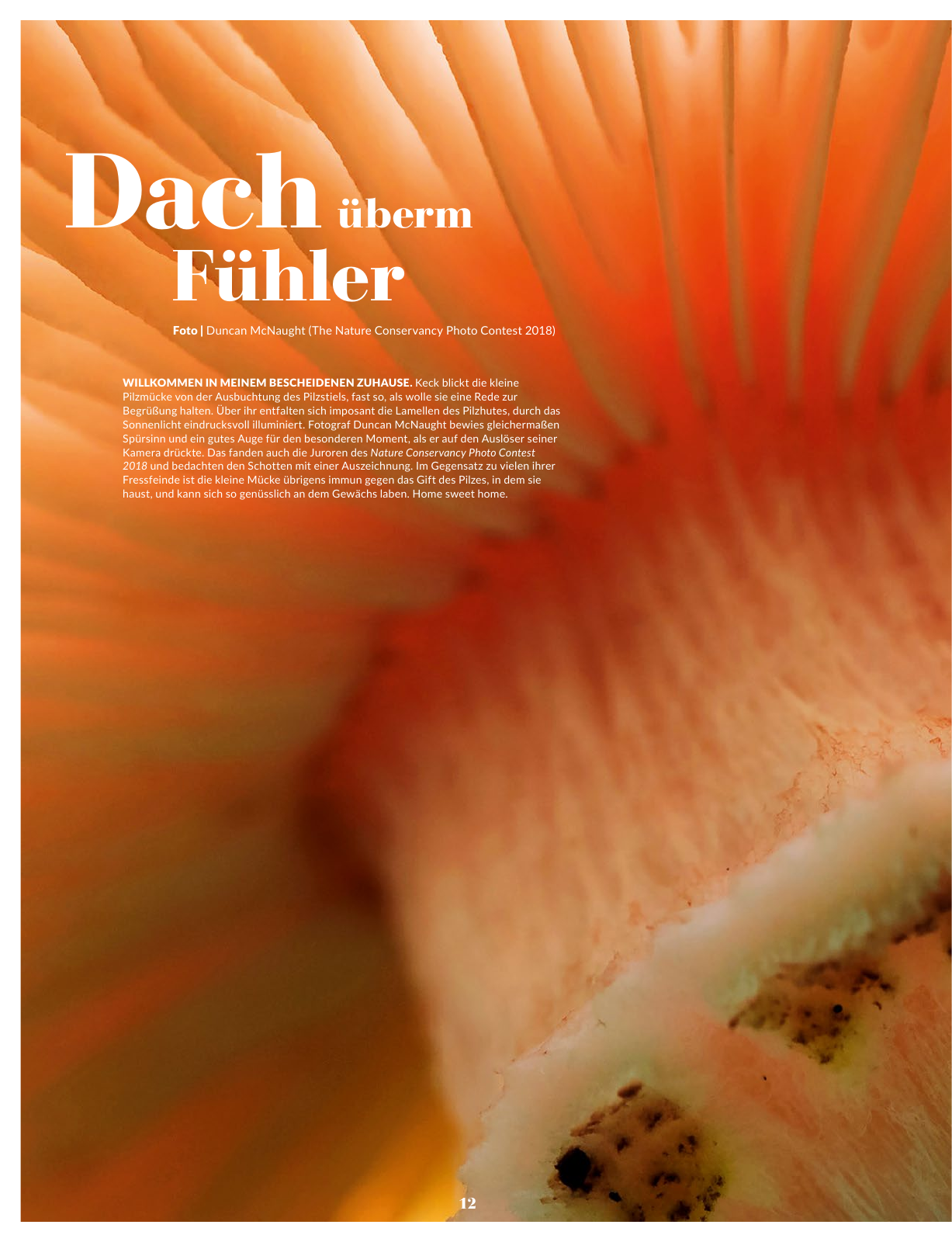 Vorschau uptrend Sommer Special 2018 Seite 14